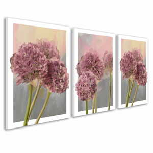 Obraz na plátně GARLIC FLOWER C set 3 kusy různé rozměry Ludesign ludesign obrazy: 3x 50x70 cm