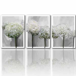 Obraz na plátně HORTENZIE bílé květy set 3 kusy různé rozměry Ludesign ludesign obrazy: 3x 40x60 cm