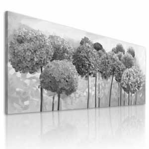 Obraz na plátně HORTENZIE šedé květy B různé rozměry Ludesign ludesign obrazy: 70x50 cm