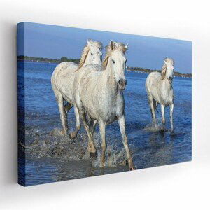 Obraz na plátně HORSES I. 120x80 cm Mybesthome