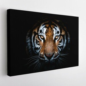 Obraz na plátně TIGER 120x80 cm Mybesthome