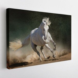 Obraz na plátně HORSE 120x80 cm Mybesthome