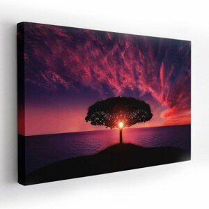 Obraz na plátně NIGHT TREE 120x80 cm Mybesthome
