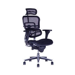 OFFICE PRO Sirius Mesh