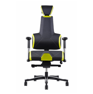 PROWORK zdravotní židle Therapia E+ Gamer Black/Green HX50/CX17