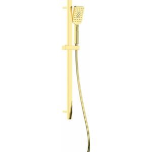 DEANTE Alpinia gold Sprchový set, 3-funkční, s posuvnou tyčí NGA_Z52K