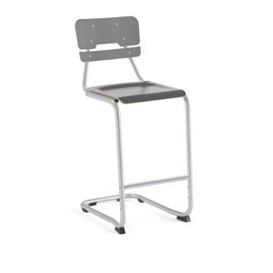 Školní židle LEGERE I, výška 650 mm, stříbrná, antracitově šedá