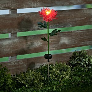 Magnet 3Pagen Solární chryzantéma růžová