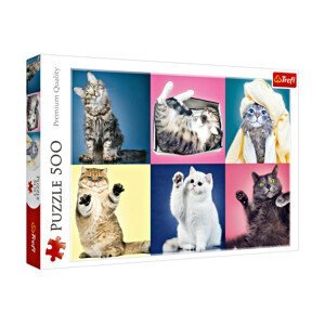 Magnet 3Pagen Puzzle 500 dílků  Kočky