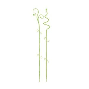 PRO Podpěra na orchidej DECOR I zelená transparentní 58,5 cm