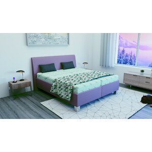 Čalouněná postel Megan s úložným prostorem Rozměr: 160x200 cm, Potahová látka: ALFA8, Výška korpusu: 31 cm
