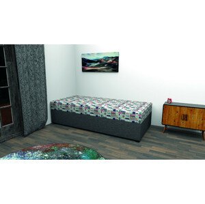 Polohovací postel Darko s úložným prostorem a matrací Rozměr: 80x200 cm, Potahová látka: ALFA8