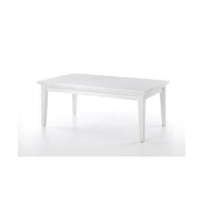 Konferenční stolek, bílá, PARIS 79872 0000149839 Tempo Kondela