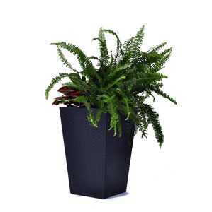 Květináč RATTAN PLANTER antracit 53x53x73 cm,Květináč RATTAN PLANTER antracit 53x53x73 cm