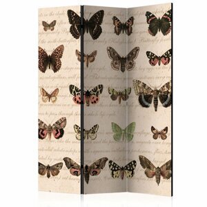 Paraván Retro Style: Butterflies Dekorhome 135x172 cm (3-dílný),Paraván Retro Style: Butterflies Dekorhome 135x172 cm (3-dílný)