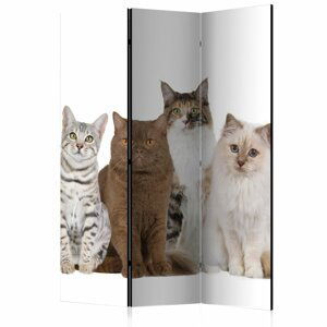 Paraván Sweet Cats Dekorhome 135x172 cm (3-dílný),Paraván Sweet Cats Dekorhome 135x172 cm (3-dílný)