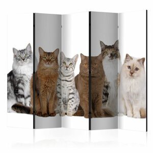 Paraván Sweet Cats Dekorhome 225x172 cm (5-dílný),Paraván Sweet Cats Dekorhome 225x172 cm (5-dílný)