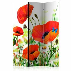 Paraván Country poppies Dekorhome 135x172 cm (3-dílný),Paraván Country poppies Dekorhome 135x172 cm (3-dílný)