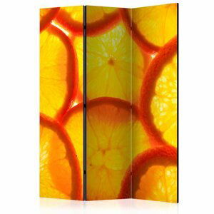 Paraván Orange slices Dekorhome 135x172 cm (3-dílný),Paraván Orange slices Dekorhome 135x172 cm (3-dílný)