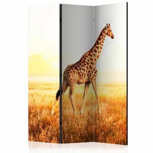 Paraván giraffe - walk Dekorhome 135x172 cm (3-dílný),Paraván giraffe - walk Dekorhome 135x172 cm (3-dílný)