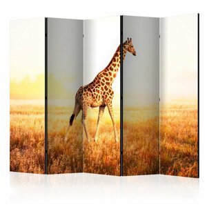 Paraván giraffe - walk Dekorhome 225x172 cm (5-dílný),Paraván giraffe - walk Dekorhome 225x172 cm (5-dílný)