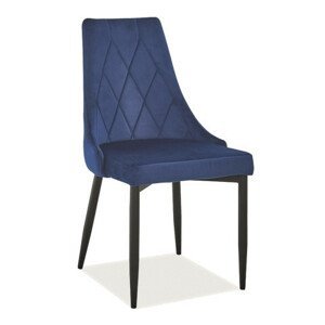 Casarredo Jídelní čalouněná židle REX B velvet granátově modrá/černá