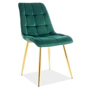 Casarredo Jídelní čalouněná židle SIK VELVET zelená/zlatá