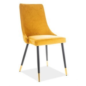 Casarredo Jídelní čalouněná židle NOPI velvet žlutá/černá/zlatá