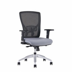 Office Pro Kancelářská židle HALIA MESH BP - 2625, šedá