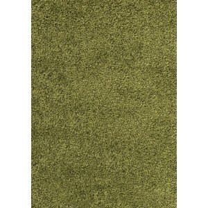 Ayyildiz Kusový koberec Dream Shaggy 4000 – zelená 160x230 cm