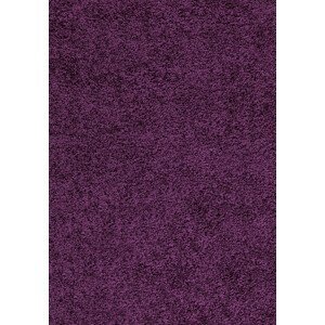 Ayyildiz Kusový koberec Dream Shaggy 4000 – fialová 80x150 cm