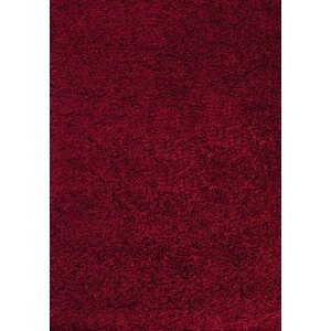 Ayyildiz Kusový koberec Dream Shaggy 4000 – červená 200x290 cm