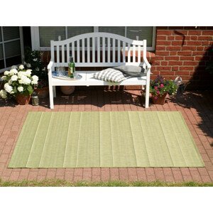 Hanse Home Kusový koberec Sunshine 102029 zelená 120x170 cm