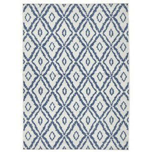 NORTHRUGS - Hanse Home koberce Kusový koberec Twin-Wendeteppiche 103137 blau creme 80x150 cm