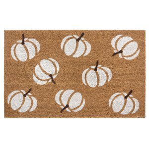 Hanse Home Hanse Home rohožka Mix Mats 105676 Cocos 45x75 cm