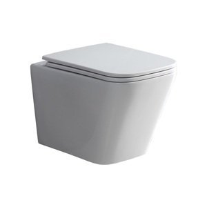 Mereo WC závěsné kapotované RIMLESS 490x340x350 vč sedátka keramické bílé VSD83S