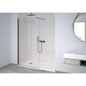 Hopa Be.Colors walk-in sprchová zástěna 98 - 100 x 200 cm rám modrá sklo černé BBCO501499701