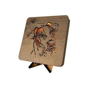 Li-Go "Jack Russell teriér" lampa 19x19cm provedení povrchu: dub B