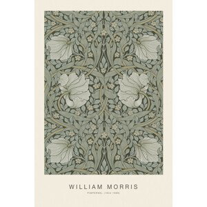 Obrazová reprodukce Pimpernel (Special Edition Classic Vintage Pattern) - William Morris, (26.7 x 40 cm)