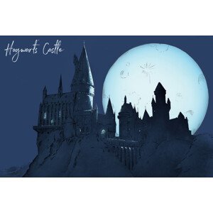 Umělecký tisk Harry Potter - Hogwarts Castlle, (40 x 26.7 cm)