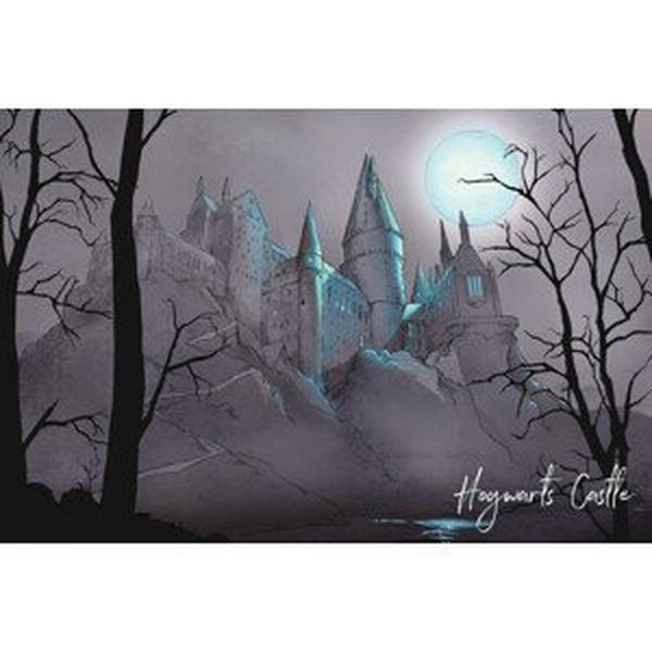 Umělecký tisk Harry Potter - Nocturnal Hogwarts Castlle, (40 x 26.7 cm)