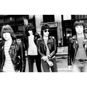 Umělecká fotografie The Ramones, (40 x 26.7 cm)