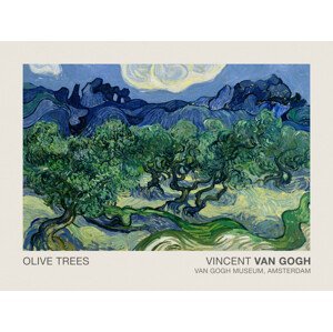 Obrazová reprodukce Olive Trees (Museum Vintage Abstract Landscape) - Vincent van Gogh, (40 x 30 cm)