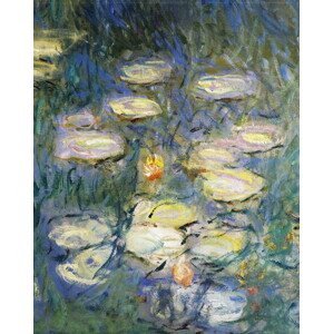 Monet, Claude - Obrazová reprodukce Water Lilies, (30 x 40 cm)