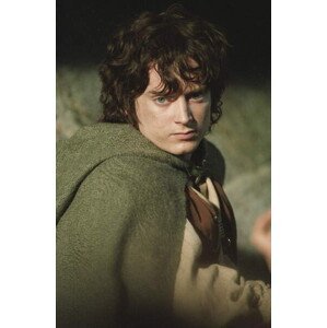 Umělecká fotografie Frodo, (26.7 x 40 cm)
