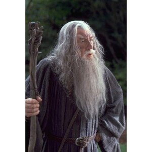 Umělecká fotografie Gandalf, (26.7 x 40 cm)