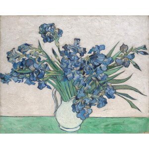 Gogh, Vincent van - Obrazová reprodukce Irises, 1890, (40 x 30 cm)