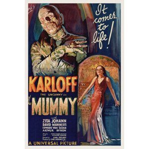 Obrazová reprodukce The Mummy (Vintage Cinema / Retro Movie Theatre Poster / Horror & Sci-Fi), (26.7 x 40 cm)
