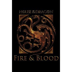 Umělecký tisk House of the Dragon - House of Targaryen, (26.7 x 40 cm)