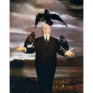Umělecká fotografie Alfred Hitchcock, The Birds 1963 Directed By Alfred Hitchcock, (30 x 40 cm)